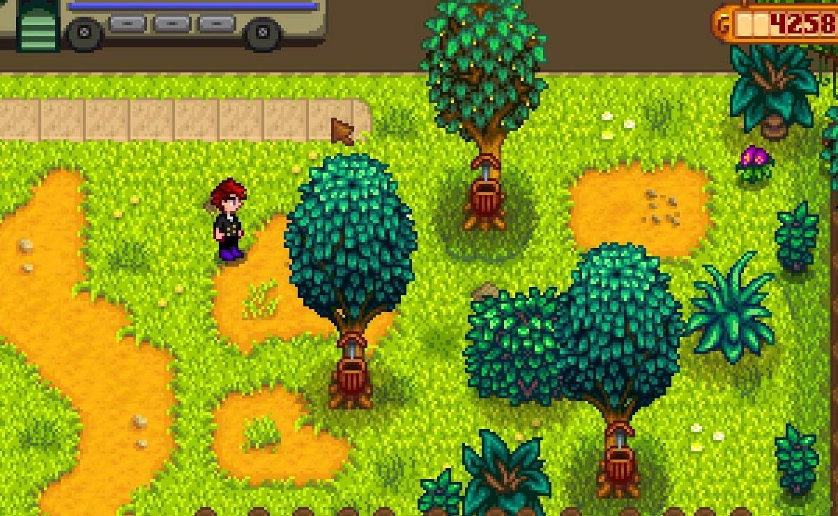 CS2 年度版 截图2