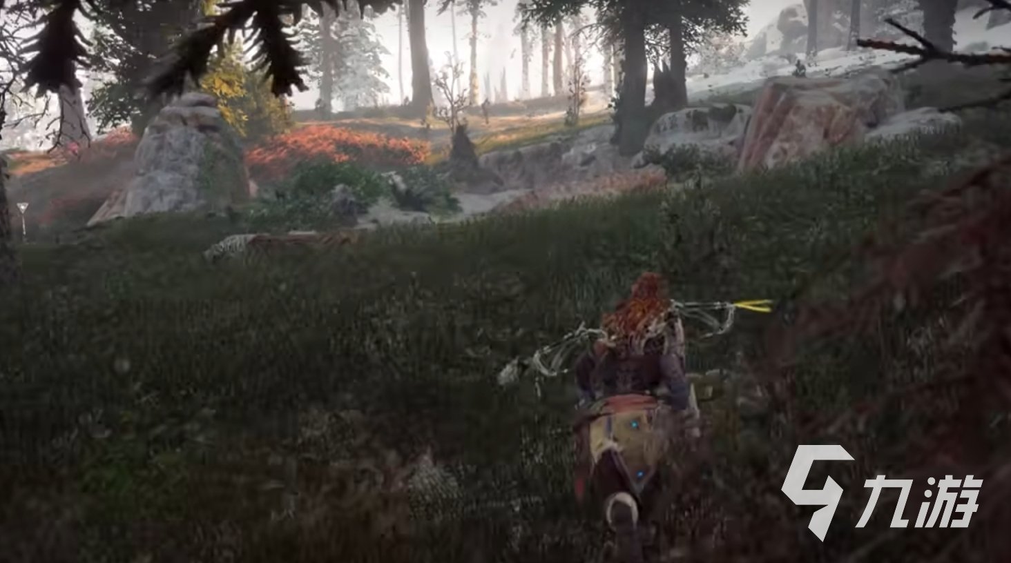 森林 豪华版 截图14