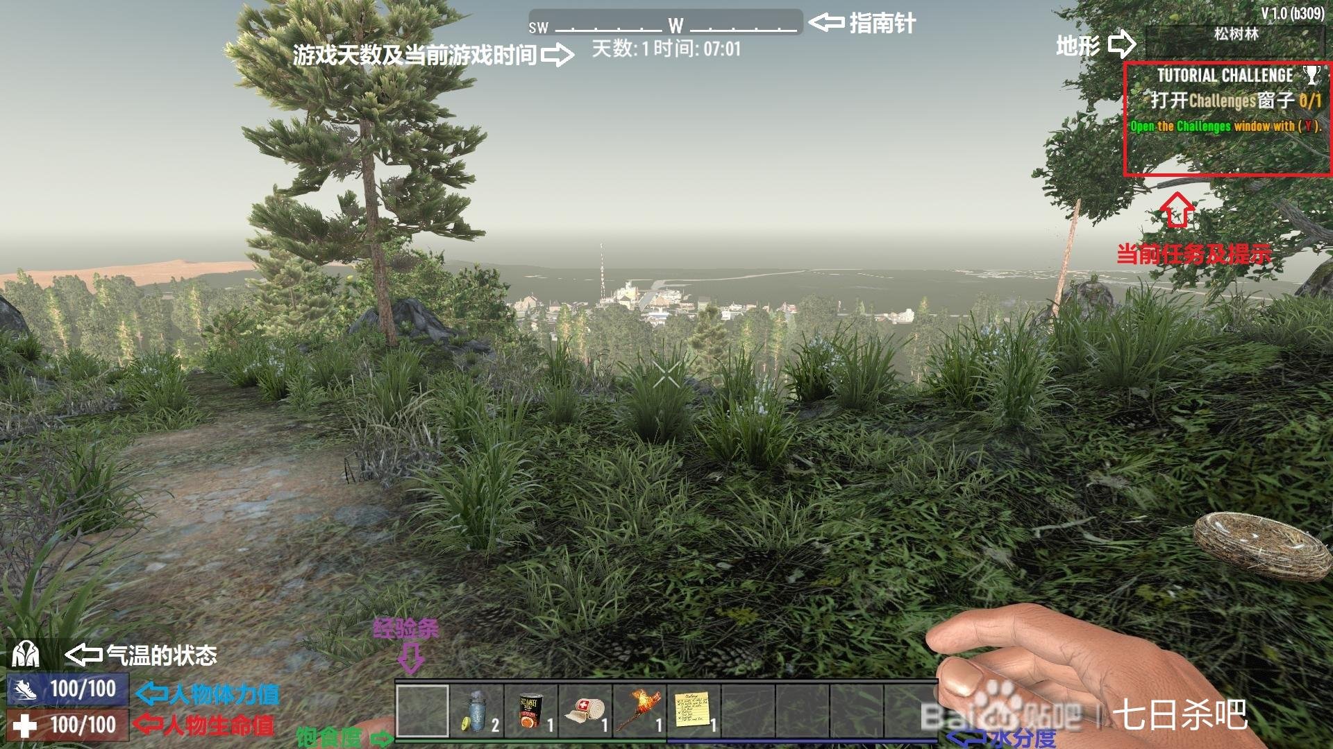 上古卷轴5：天际 终极版 截图8