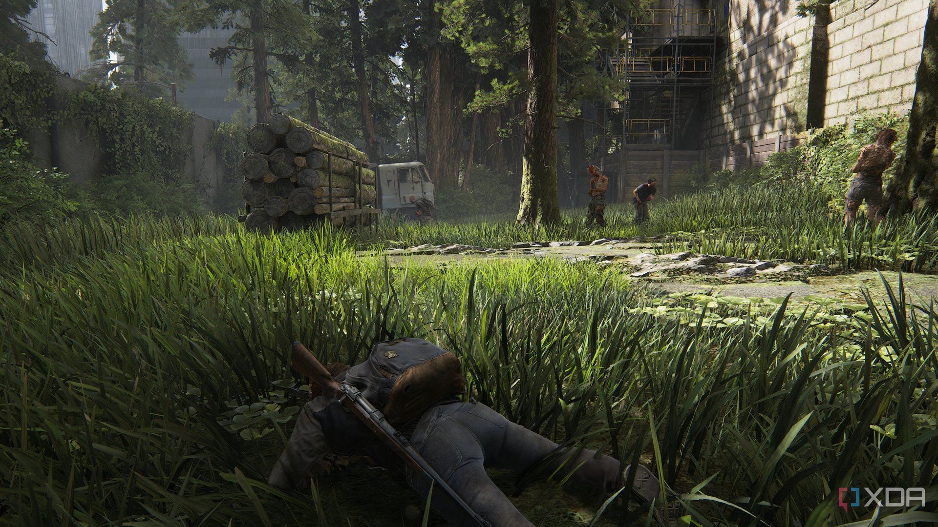 森林 完整版 截图20