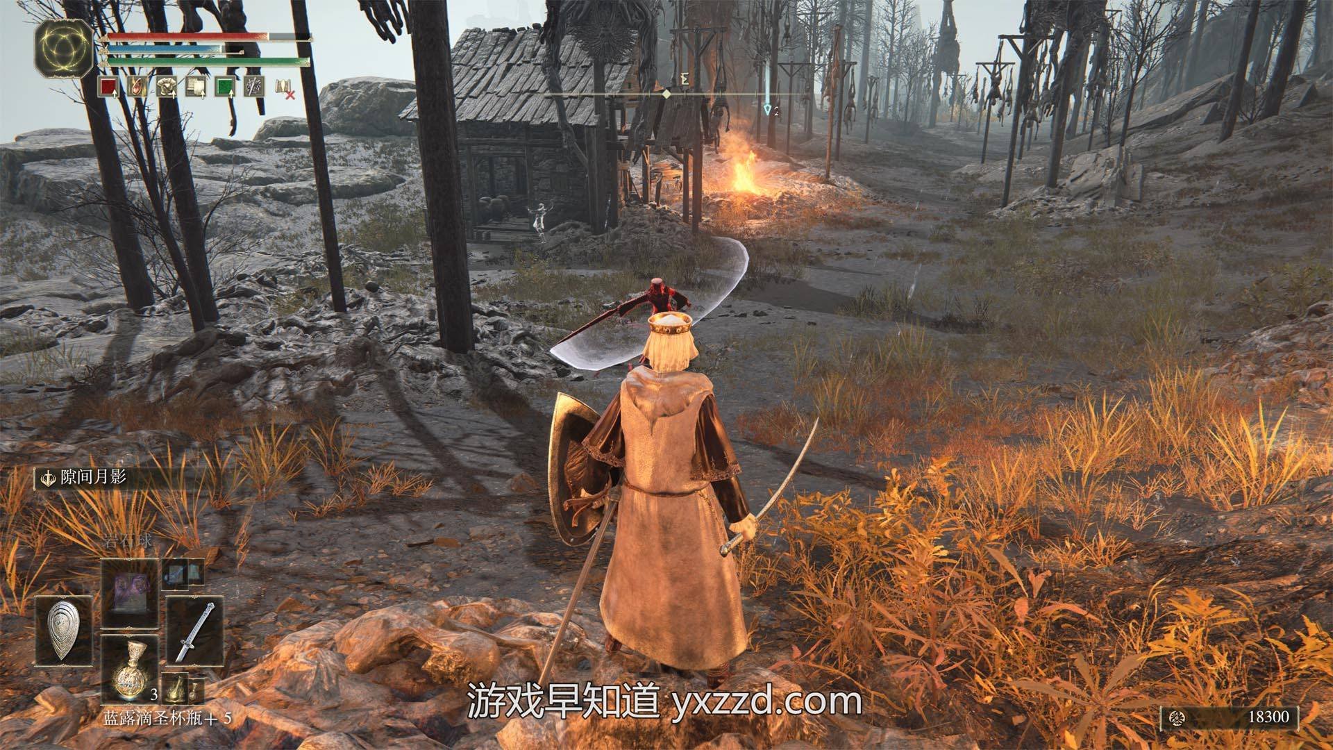 只狼：影逝二度 年度版 截图18